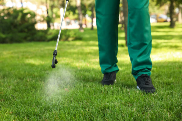 Best Mosquito Control Services  in Alice, TX