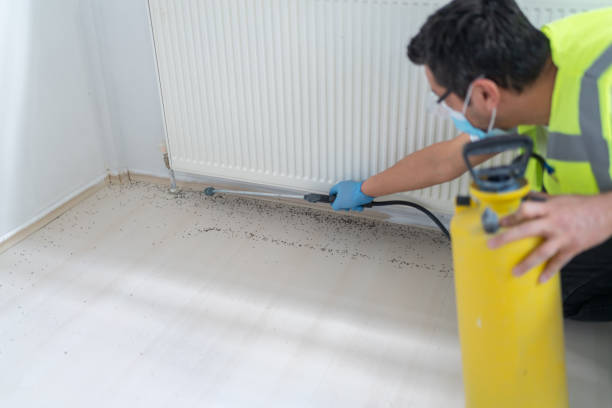 Best Best Pest Control Companies  in Alice, TX