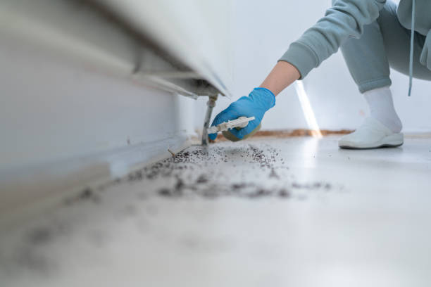 Professional Pest Control in Alice, TX